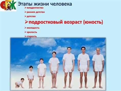 Особенности физиологии сосен