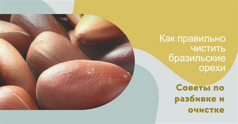 Осторожно удалите обломки скорлупы