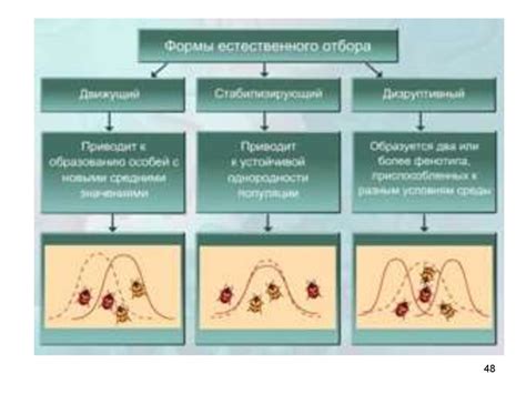 Отбор, директивная и случайная селекция