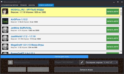 Открытие лаунчера и игры