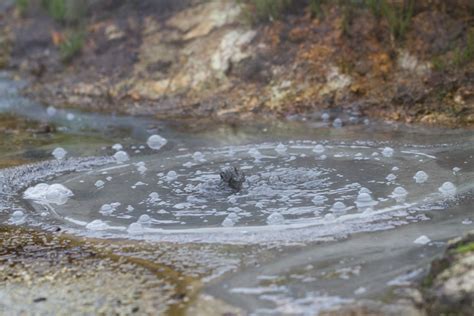 Открытие потенциала личности через образ лужи с мутной водой