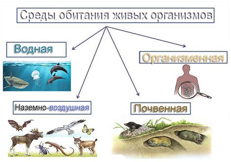 Отличие от репликативных живых организмов