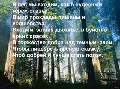 Отношение к искусству и поэзии