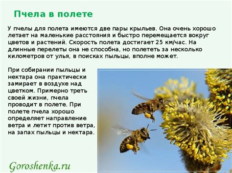От пыльцы крыльев