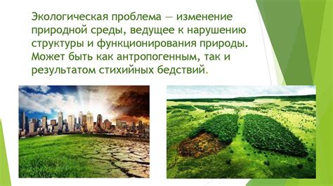 Охрана природы и биоразнообразие: экологические проблемы и возможные решения