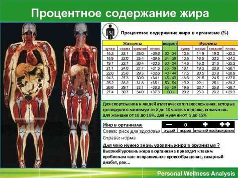 Оценка содержания полезных компонентов в жировой массе барсука