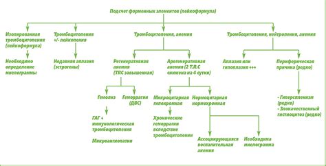 Очистка и проверка элементов: важные моменты