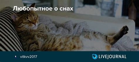 О значениях сновидений о собачьих встречах