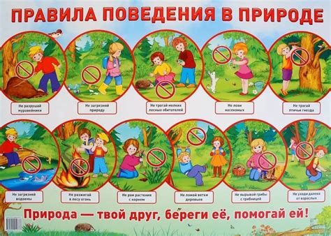 О секретах сохранения природной свежести кашкара в куле на огороднике и в электроградке