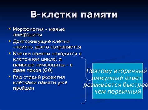 Память сохраняется долго