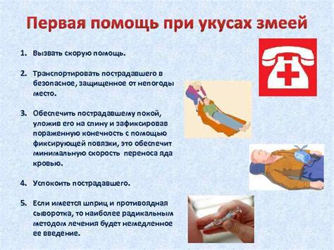 Первая помощь при укусе
