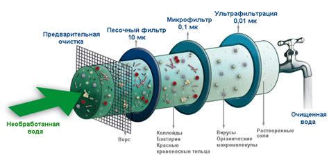 Первый метод: очистка контейнера с помощью горячей воды и мыла