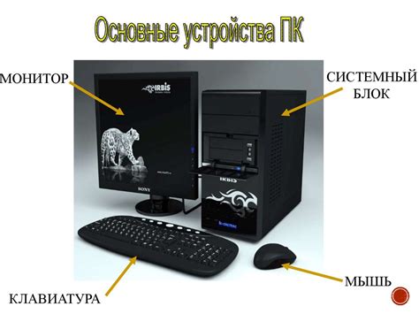 Первый шаг: установка игры на мобильное устройство и персональный компьютер