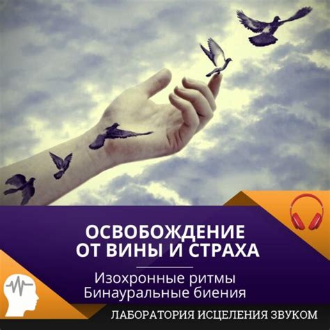 Передвижение вперед: принятие собственной ответственности и освобождение от вины