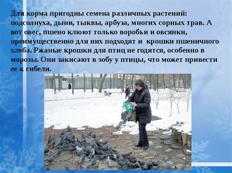 Переработка пищи в гортани и крошение в зобу у птиц