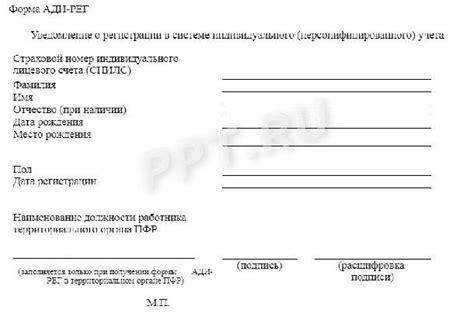 Перечень необходимых документов и правильное оформление