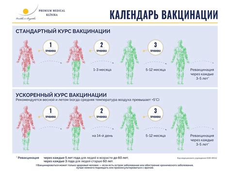 Период вакцинации