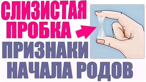 Пессарий и слизистая пробка