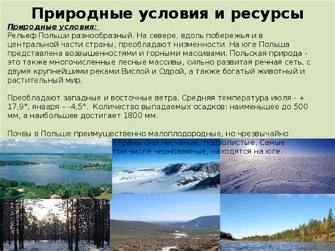 Песчаные ресурсы: суть и значение