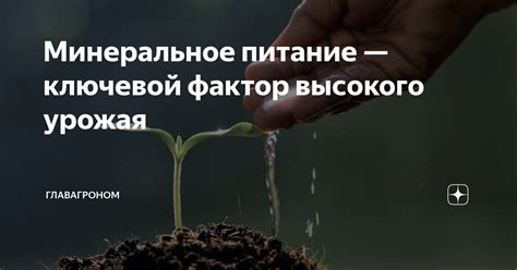 Питание: ключевой фактор формирования