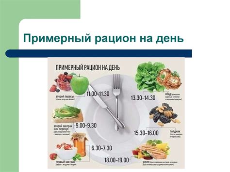 Питание и правильный рацион