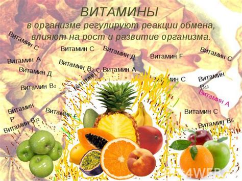 Питательная ценность Роллтона