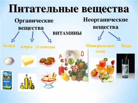 Питательные вещества: выгода и польза
