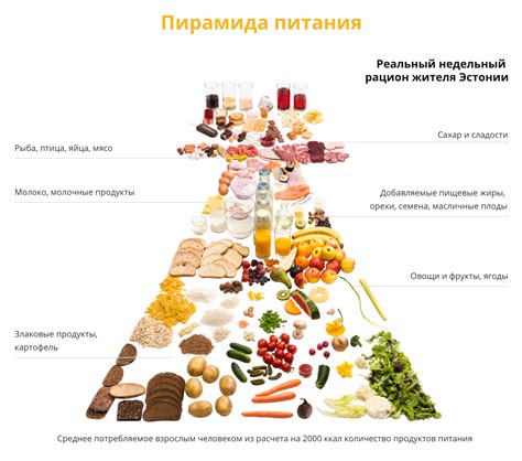 Питательные овощи и фрукты