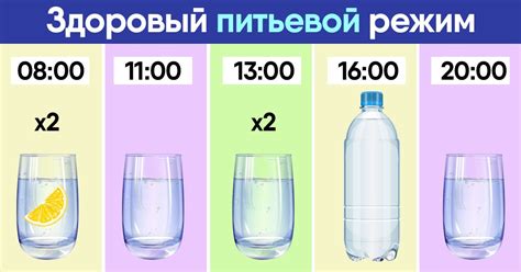 Питьевой режим важен