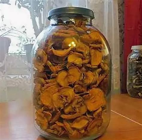 Пищевая ценность сушеных лисичек