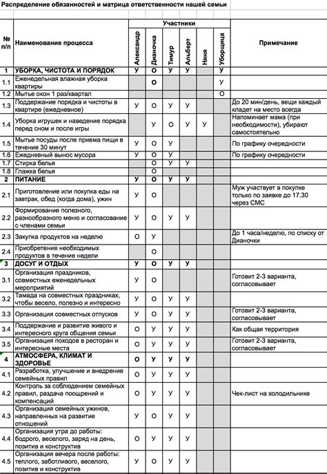 План работы и распределение обязанностей