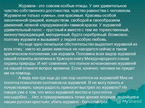 Плеярут с особой грацией