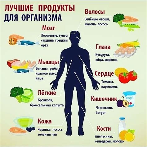 Плюсы и выгоды для организма