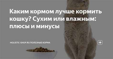 Плюсы и минусы кормления сухим кормом