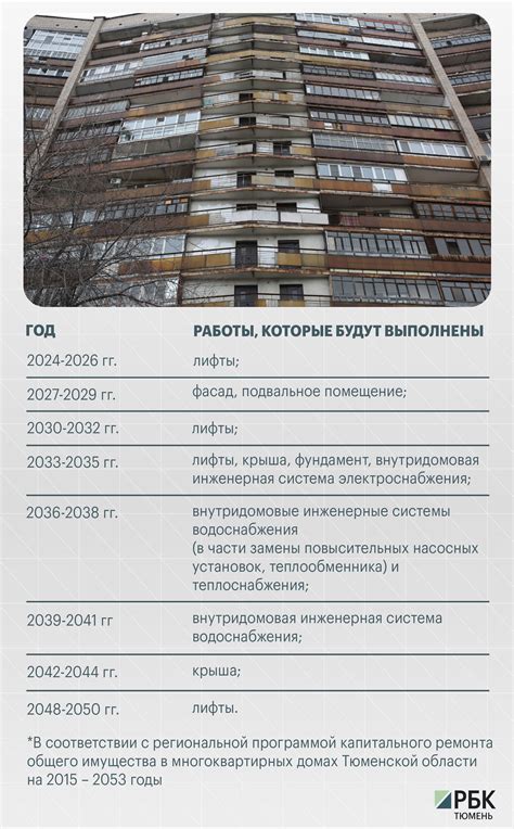 Поведение муравьев: ключ к успешному поиску дома муравейника