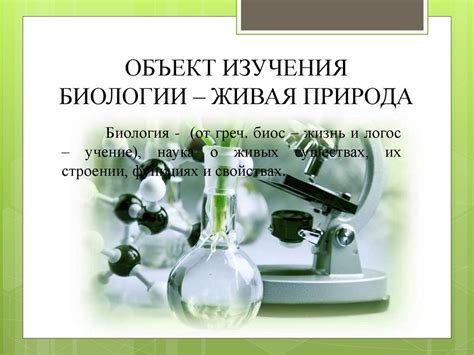 Поведение небольших грызунов и их неукротимая жажда познания новых окружающих пространств