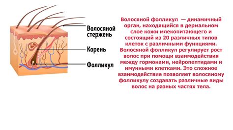 Повреждение волосяных фолликулов