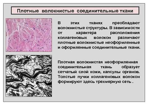 Повреждения ткани