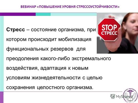 Повышение стрессоустойчивости организма