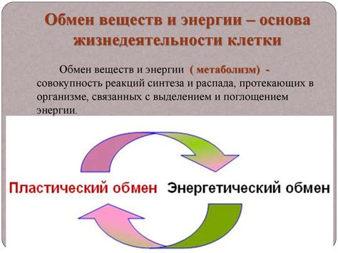 Повышение уровня энергии и жизнедеятельности
