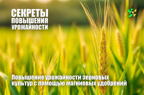 Повышение урожайности с помощью УФ стабилизатора