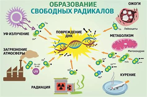 Повышенное вырабатывание свободных радикалов