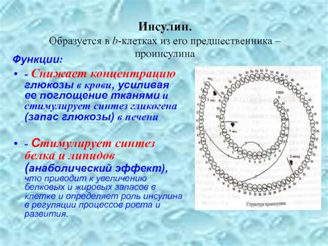 Поглощение крови