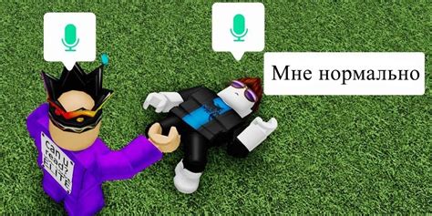Подготовка документов для включения голосовой связи в Роблоксе