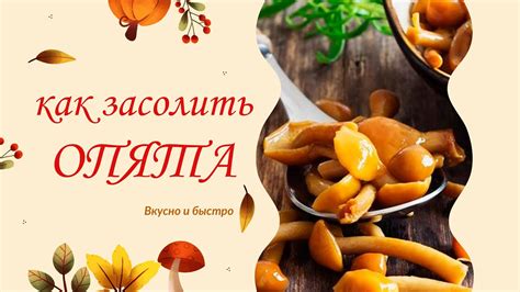 Подготовка и засолка