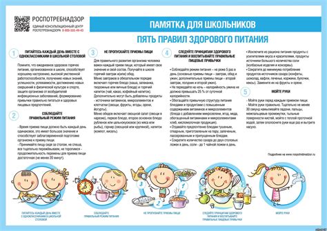 Подготовка и правильное питание