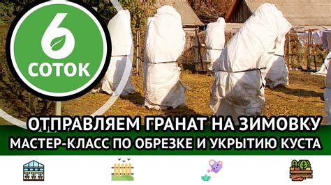 Подготовка и рекомендации по зимнему укрытию