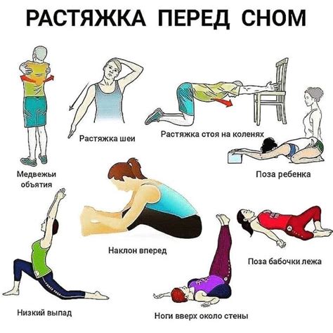Подготовка корма перед сном