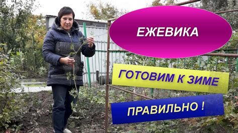 Подготовка к зиме: основные принципы и подходы