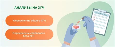 Подготовка к сдаче крови на ХГЧ
